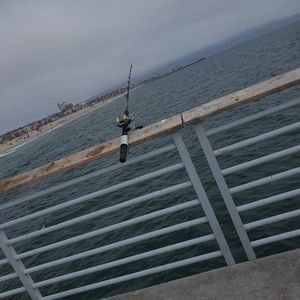 Meet your Posher, Karla